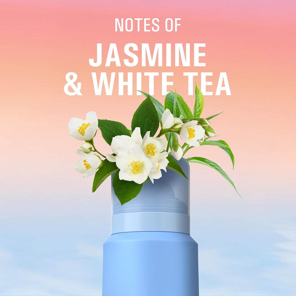 Secret Whole Body Deodorant for Women. Spray White Tea & Jasmine Scent. Aluminum Free Deodorant Spray. 72 HR Odor Protection. 3.5 oz