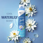 Secret Dry Spray Antiperspirant Deodorant for Women. 48hr Weightless Sweat & Odor Protection. Gentle on Skin. Waterlily & Argan Oil Scent. 4.1 oz (Pack of 3)