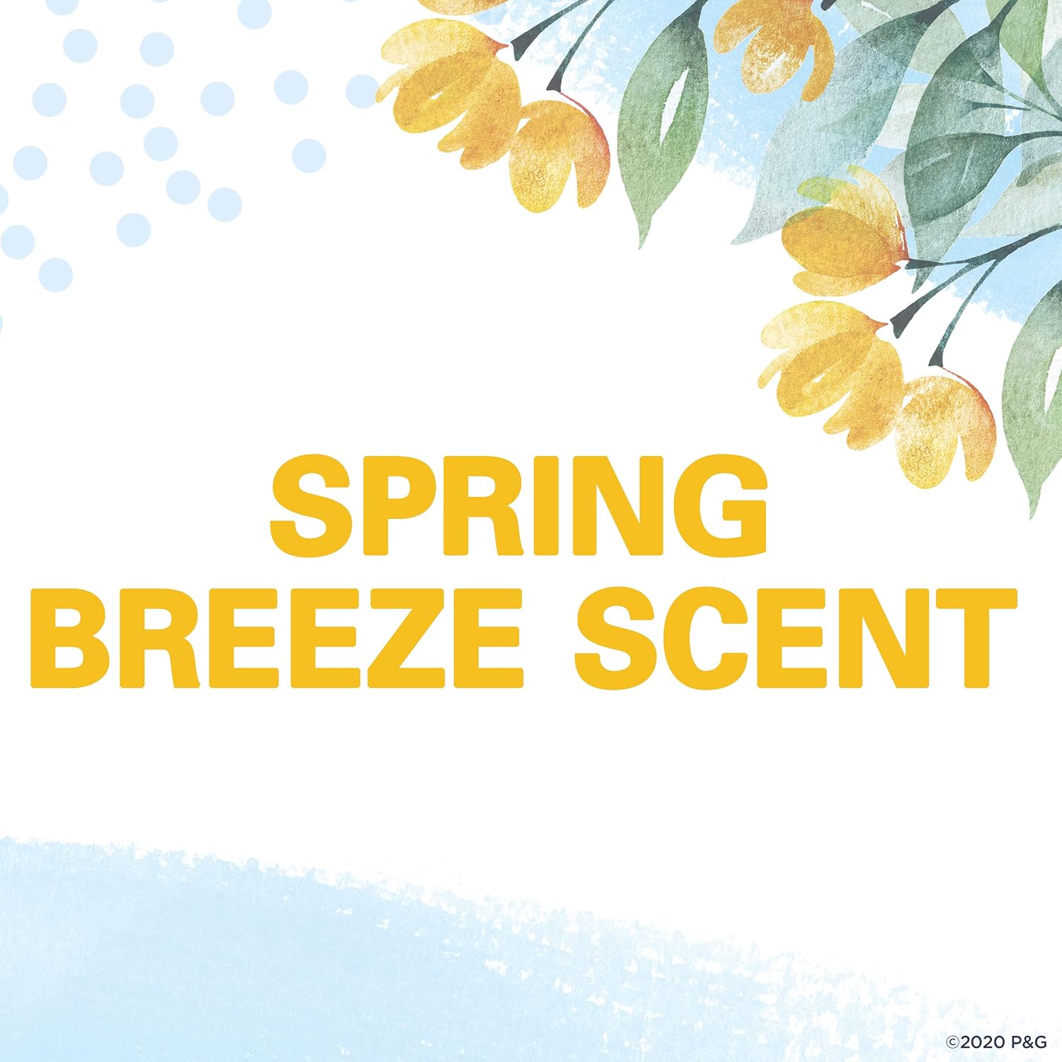 Secret Antiperspirant and Deodorant for Women. 24hr Sweat & Odor Protection. PH Balanced Protection. Gentle on Skin. Invisible Solid. Spring Breeze Scent. 2.6 oz (Pack of 2)